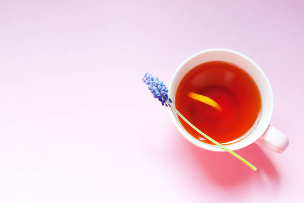 istock Creative layout made with a cup of tea and muscari flowers on bright pink background. Spring minimal morning concept 954952186