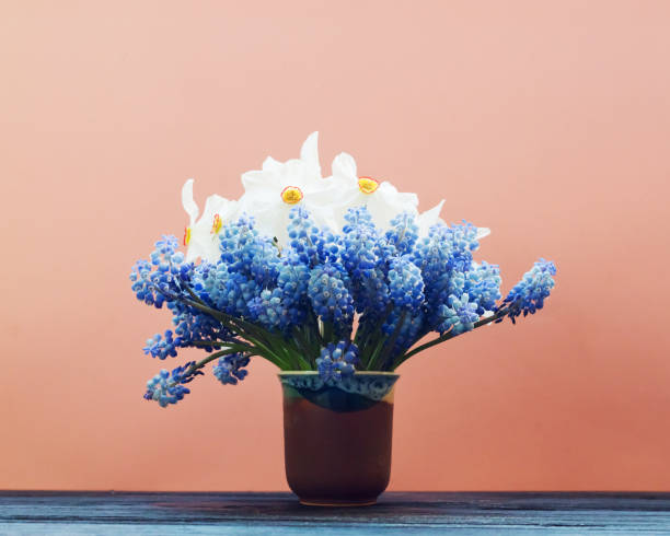 istock Creative layout made with muscari flowers on bright pink background. Spring minimal concept. 954952290