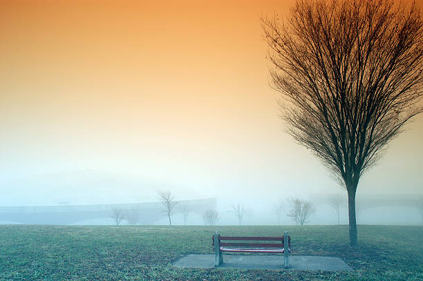 Lonely Bench stock photo