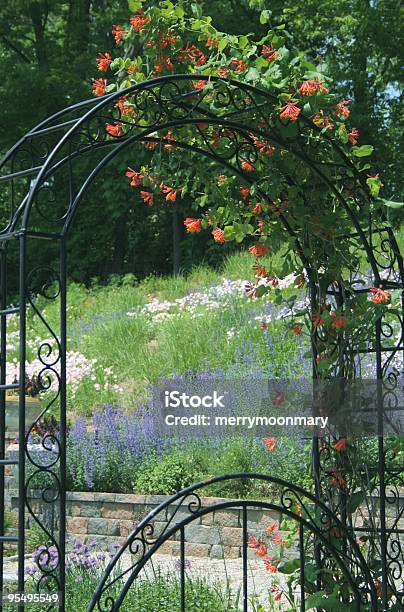 Arbor With Flowers Stock Photo - Download Image Now - Honeysuckle, Arch - Architectural Feature, Surrounding Wall