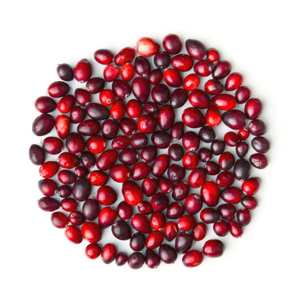 istock The tasty american cranberries 954956366