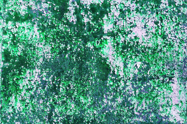istock close-up image of metal painted texture 954961550