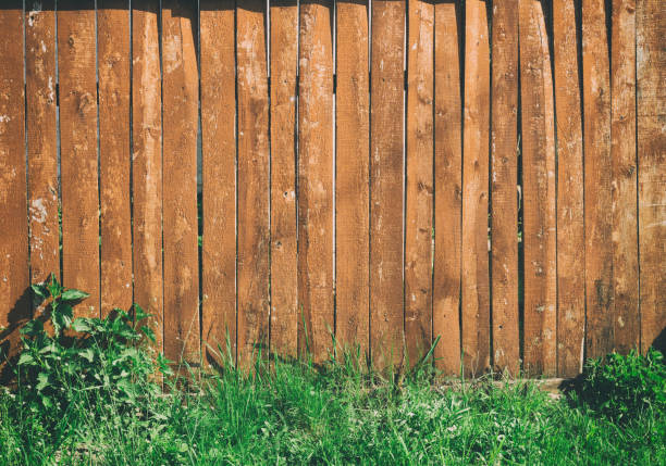 istock Texture of an old wooden wall. Background 954966252