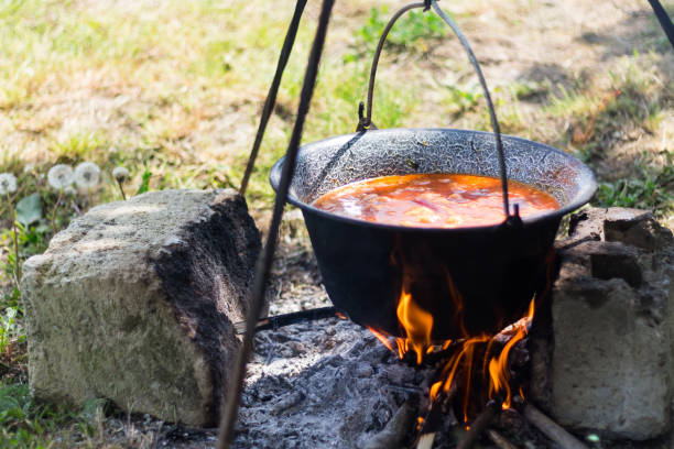 istock Hungarian Gulyas Soup/Stew 954966984