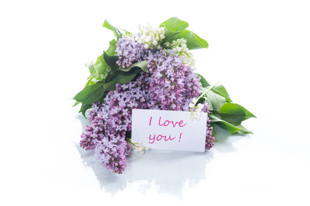 istock branch of blossoming spring lilac 954967410