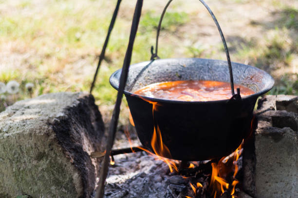 istock Hungarian Gulyas Soup/Stew 954969692