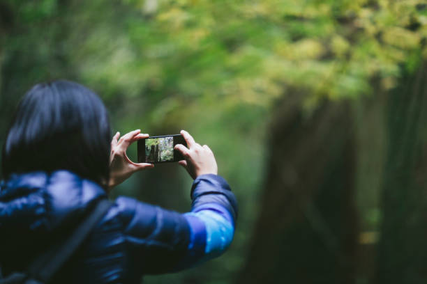 Woman taking photos in nature