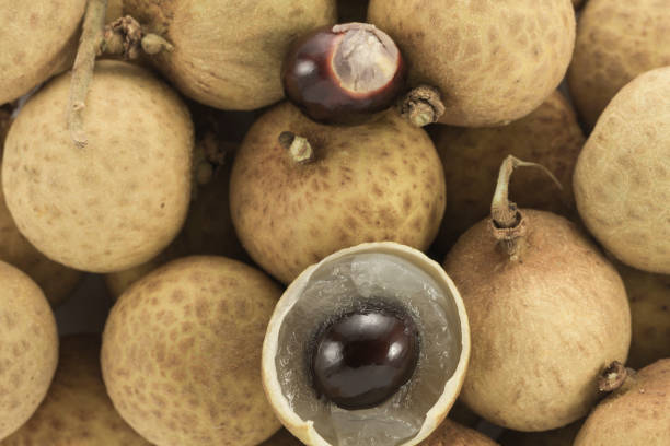 istock Fresh Longan close-up. Top View.  Exotic fruit. 954971960