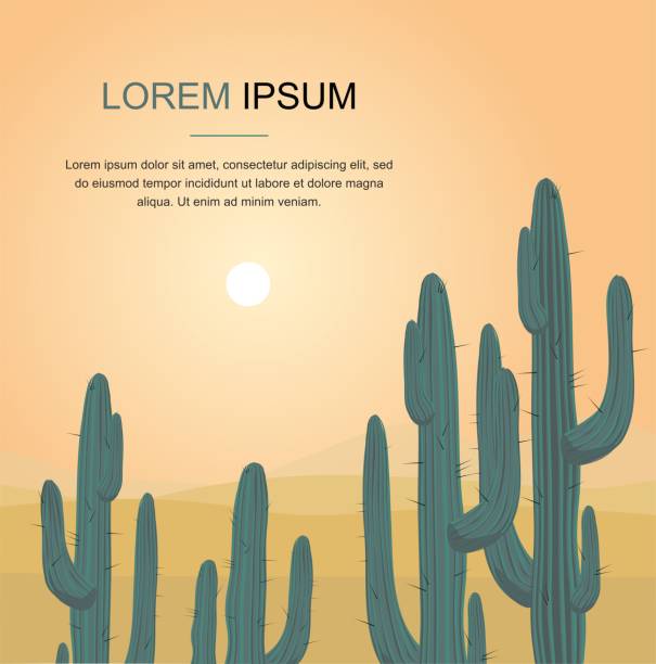 ilustrações, clipart, desenhos animados e ícones de paisagem de deserto árvore cacto - sonoran desert illustrations