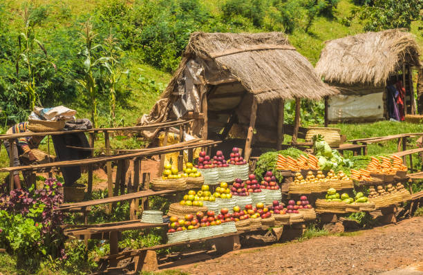 frutas tropicais e carrinhos vegetais ao longo do lendário 7 rota nacional perto de antsirabe, madagáscar - áfrica oriental - fotografias e filmes do acervo