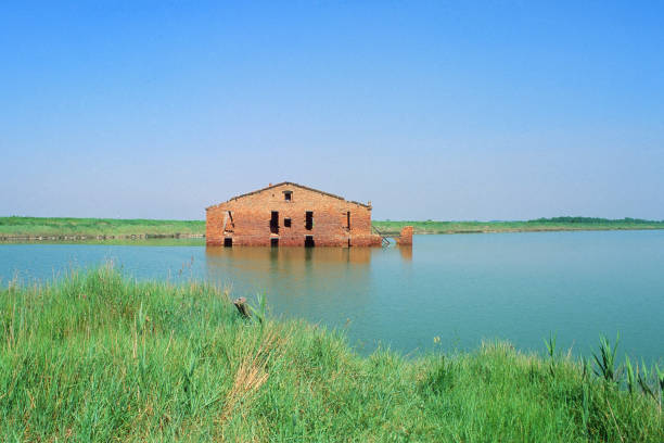 istock In the middle of the water 954983284