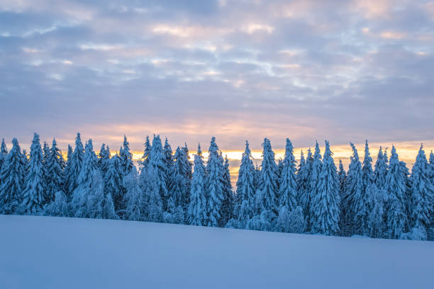 istock Winter landscape from Sotkamo, Finland. 954983544
