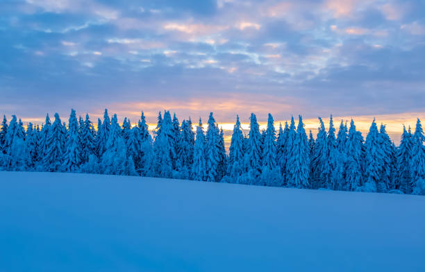 istock Winter landscape from Sotkamo, Finland. 954983550