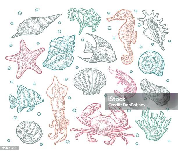 Seamless Pattern Sea Animal Stock Illustration - Download Image Now - Seashell, Vector, Sea Life