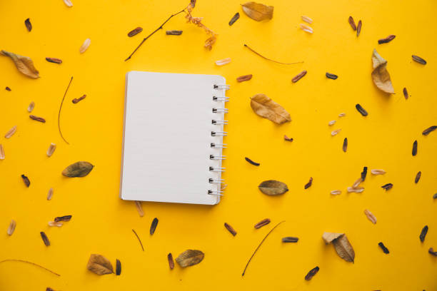 istock Blank notebook and dry leaves on yellow paper background for top frame 954984816