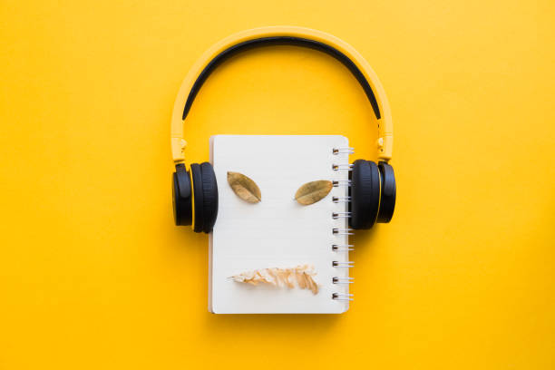 żółte słuchawki z pustym notebookiem i suchymi liśćmi na żółtym papierze - dry leaves audio zdjęcia i obrazy z banku zdjęć