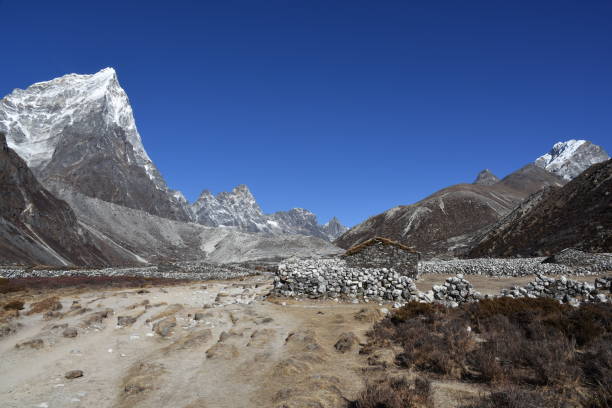istock EBC Trek and Yak farm in the Pheriche Valley, Nepal 954987932
