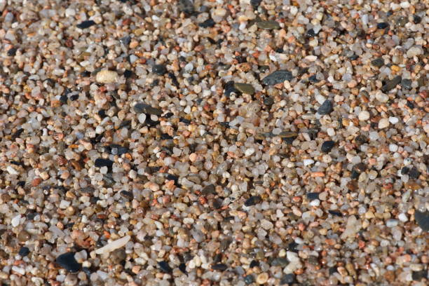 istock Small pebbles on the beach close-up 954994052