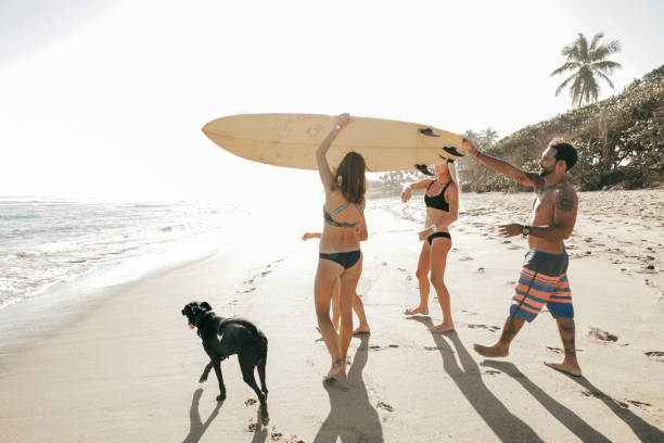 istock Starting a surfing business. 954994166