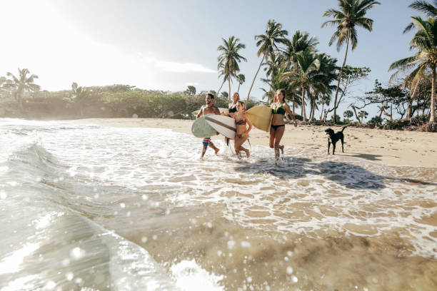 getting along with co-workers - women sea cheerful surfing imagens e fotografias de stock