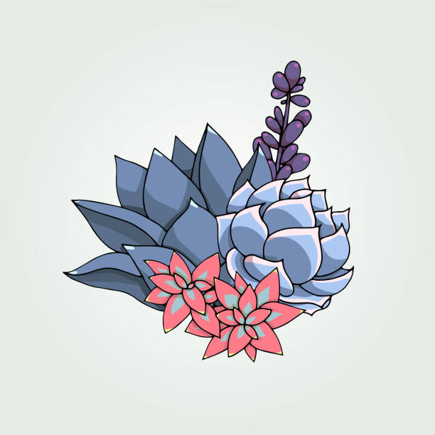 illustrations, cliparts, dessins animés et icônes de composition florale de plantes succulentes vector. ornement de succulente.  bouquet naturel. - floral centerpiece