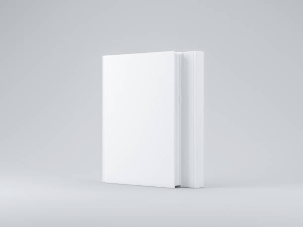 istock Two white blank Book mockup with textured cover on gray background 955007166
