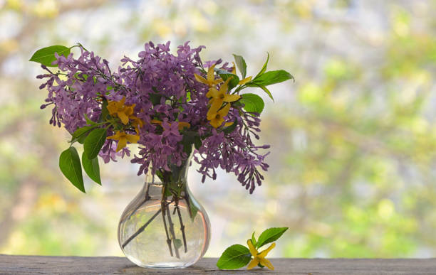 istock Spring Lilac bouquet on the wooden table 955008346