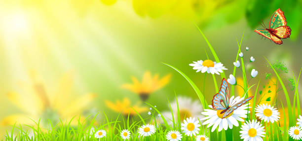 istock colorful green background with flowers and butterflies 955009354