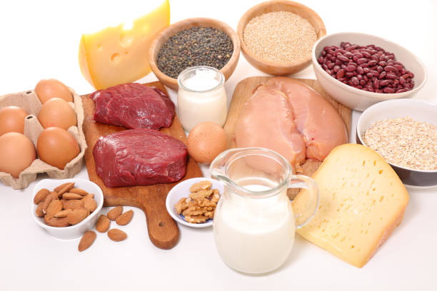 istock selection of food high in protein 955010688
