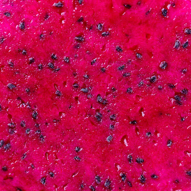 istock Exotic pink dragonfruit cut macro photo on background. Dragon fruit close up. Pitahaya texture photo. Sweet tropical fruit, juicy 955023614