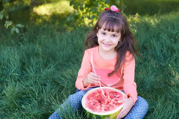 Small child. Bright green grass. Red juicy watermelon. Cute girl.