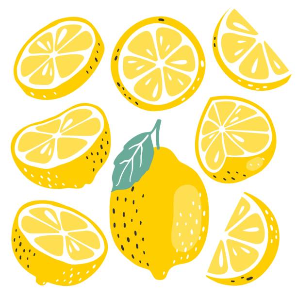 illustrazioni stock, clip art, cartoni animati e icone di tendenza di raccolta di frutta al limone fresca - limone