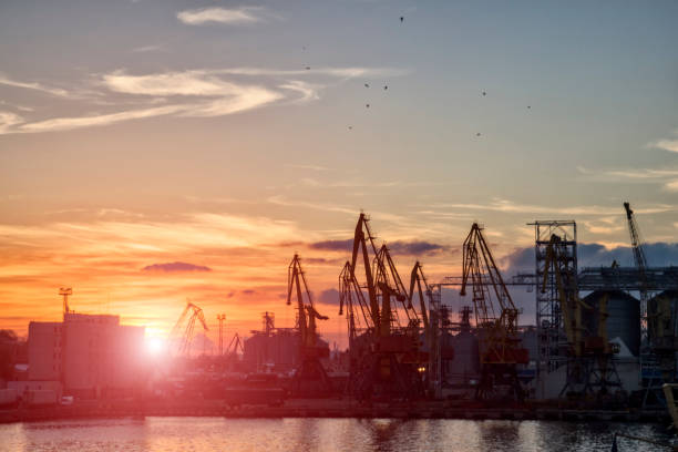 istock Cargo seaport, ships, a lot of cargo cranes 955041724