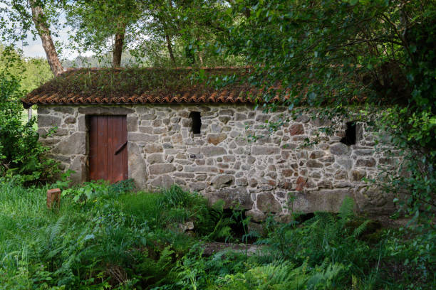 istock old stone house in the forest 955045324