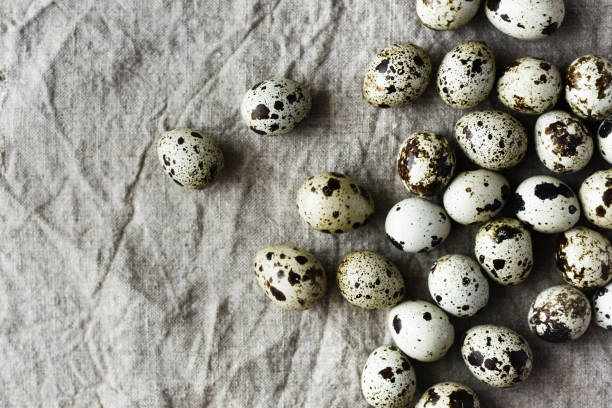 Fresh beautiful quail eggs ready for cooking stock photo