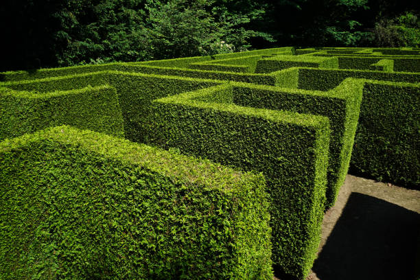 istock labyrinth of green hedges 955052668