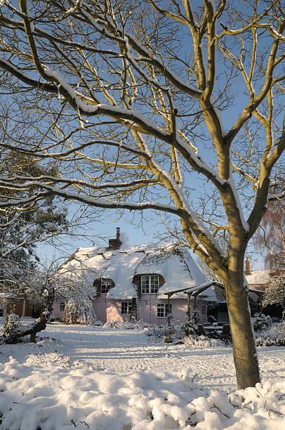 winter-cottage - english walnut stock-fotos und bilder