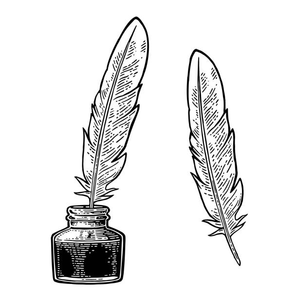 잉크병, 흰색 배경에 고립 된 깃털입니다. 조각 - ink bottle stock illustrations