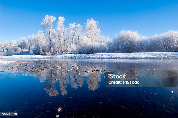 Congelados Reflejo De Árbol Río Foto de stock y más banco de imágenes de Aire libre - Aire libre, Azul, Cielo