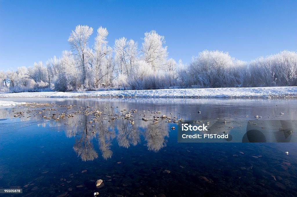 Frozen árvore Rio reflexo - Foto de stock de Azul royalty-free