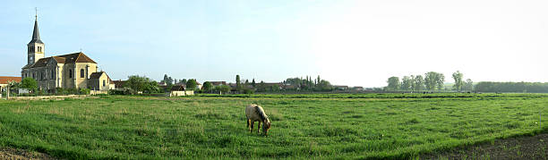 le cheval et l'église - horse panoramic scenics prairie stock-fotos und bilder