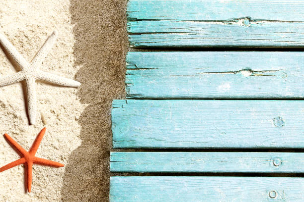 istock Marine life on blue plank on the beach 955066988