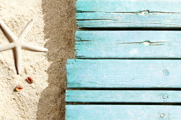 istock Marine life on blue plank on the beach 955069504