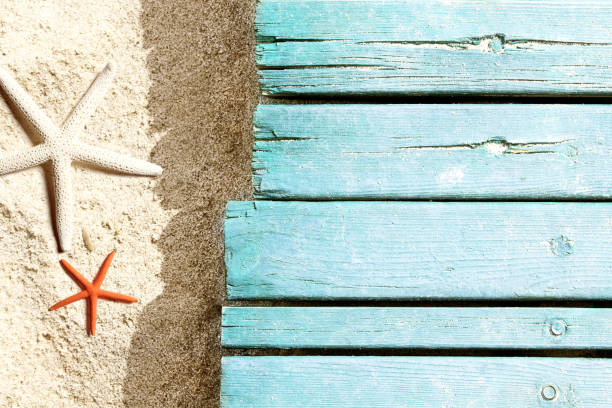 istock Marine life on blue plank on the beach 955069780