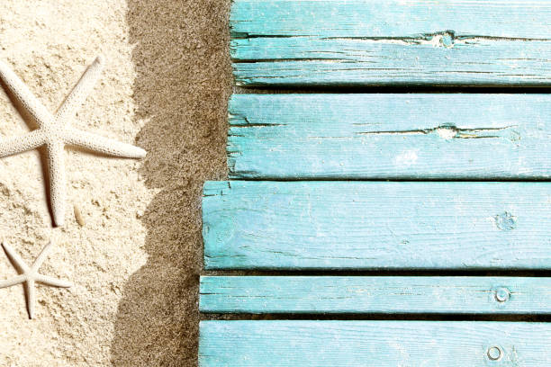 istock Marine life on blue plank on the beach 955070018