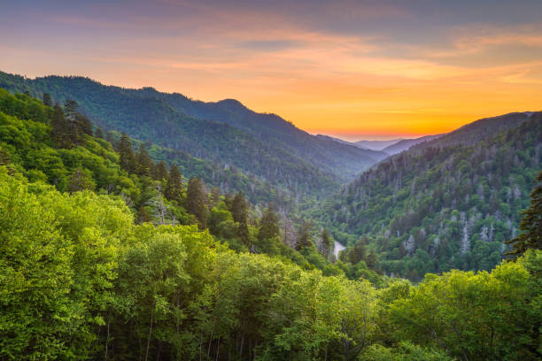 istock Newfound Gap Smoky Mountains 955070088