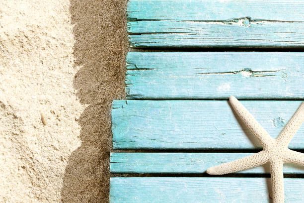 istock Marine life on blue plank on the beach 955070574