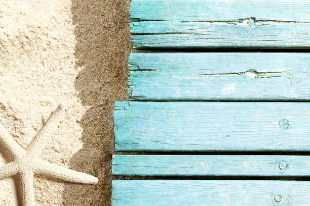 istock Marine life on blue plank on the beach 955070998