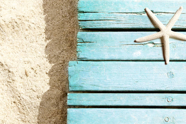 istock Marine life on blue plank on the beach 955071446