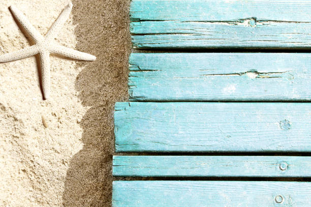 istock Marine life on blue plank on the beach 955072658